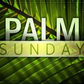 PicturesPool Happy Palm Sunday Wallpaper